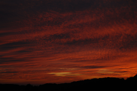 2007_10_20_18.37.32h